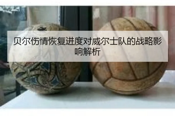 bei-er-shang-qing-hui-fu-jin-du-dui-wei-er-shi-dui-de-zhan-lve-ying-xiang-jie-xi-2-518.jpg