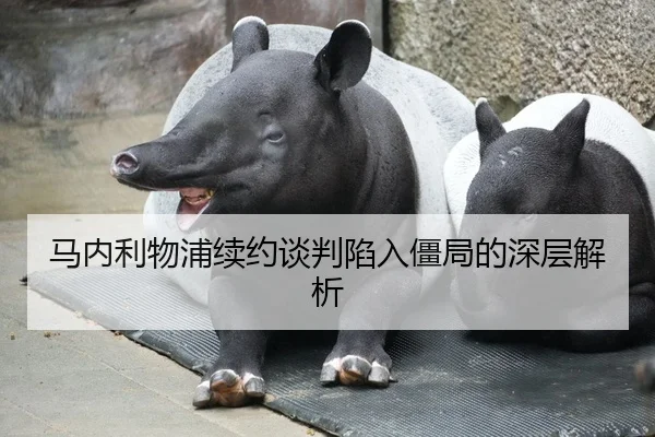 马内利物浦续约谈判陷入僵局的深层解析